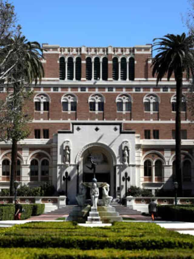 Top 10 Best University in the World