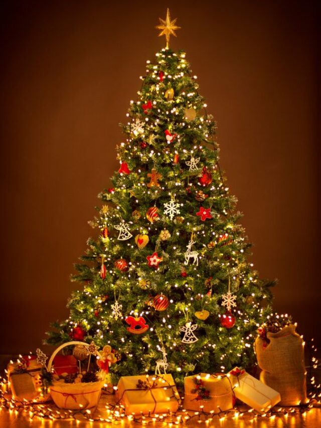 Top Rated Christmas Activities in Canada