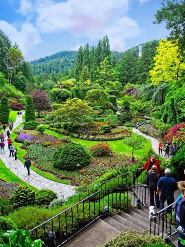 8 Best USA Beautiful Gardens to Visit