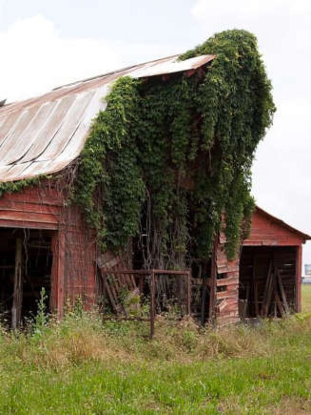 The Oldest Historic Town in Every State